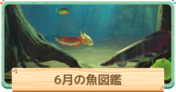 6月
