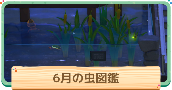 6月