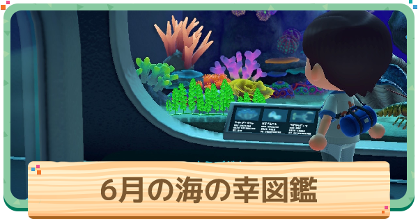 6月