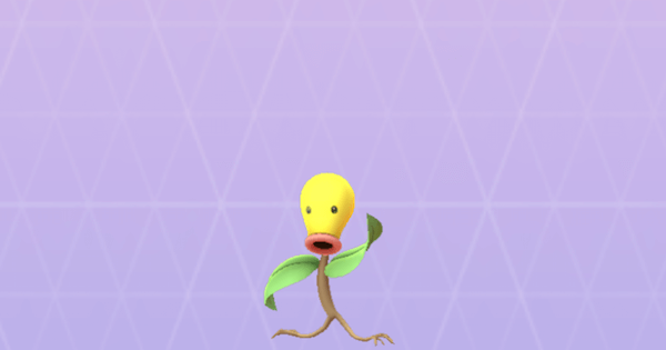 「マダツボミ」の画像検索結果