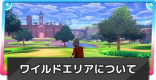 ワイルドエリアの出現ポケモンと巣穴の仕組み | 今日の天候
