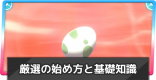 厳選のやり方まとめ｜対戦用ポケモンの育成方法