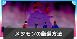 メタモン厳選の方法！おすすめのやり方を紹介！