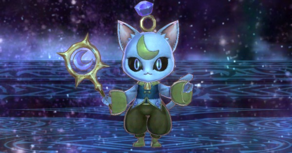 アビシニアンのアイキャッチ