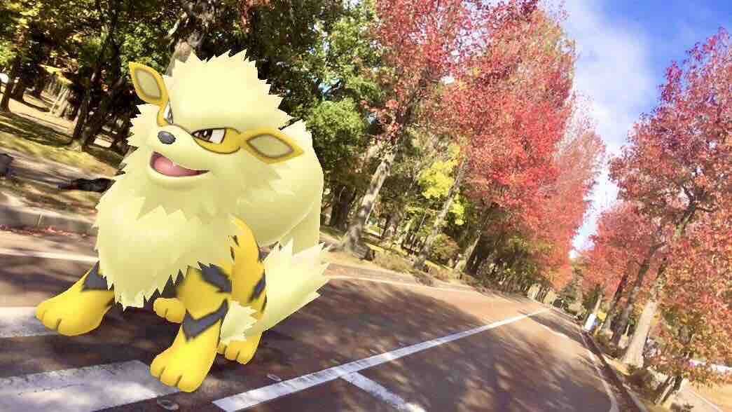 ウインディのAR画像