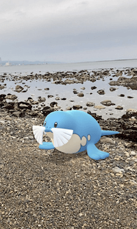 トドグラーのAR画像