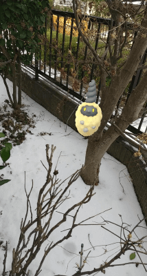 ミノムッチ(すなちのミノ)のAR画像