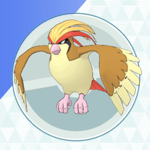 ピジョット