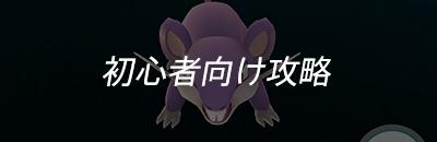 初心者向け情報イメージ画像