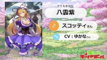 東方キャノンボールの画像