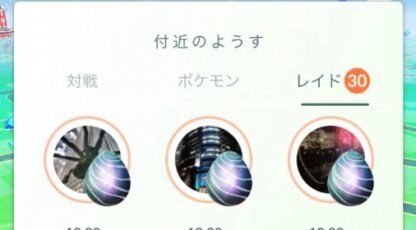 レイド画像