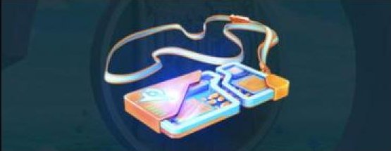 レイドパスのイメージ